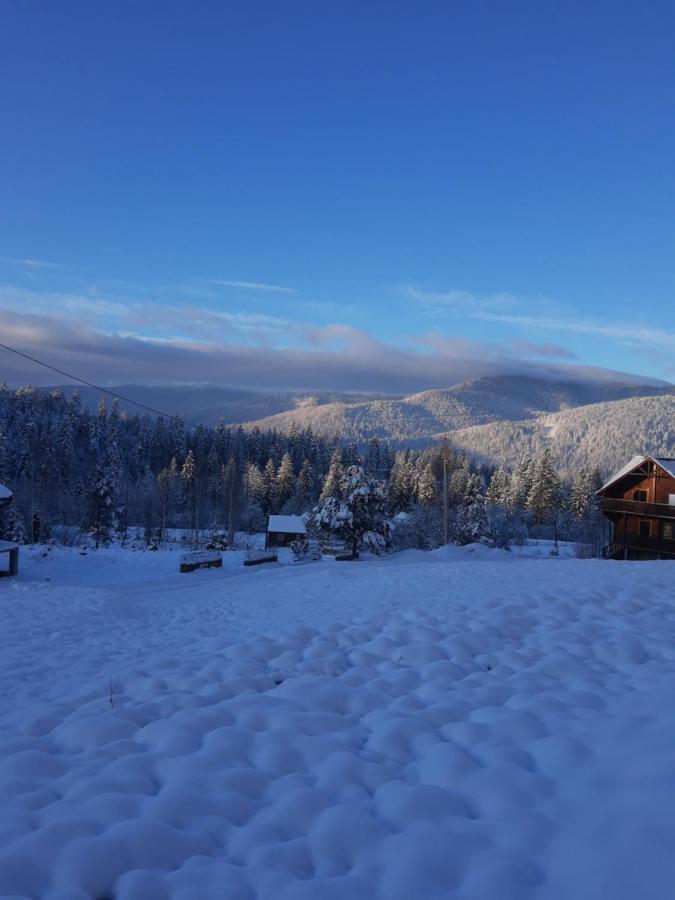 Villa M Mykulychyn Buitenkant foto